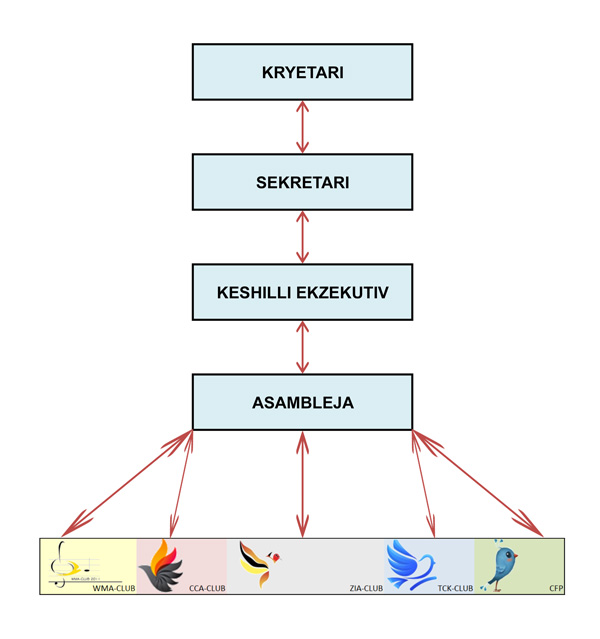Struktura Organizative e FOSH